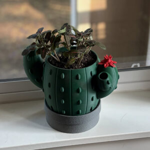 Cactus Signal Planter | Self-Watering Indoor Planter for Succulents & Cacti