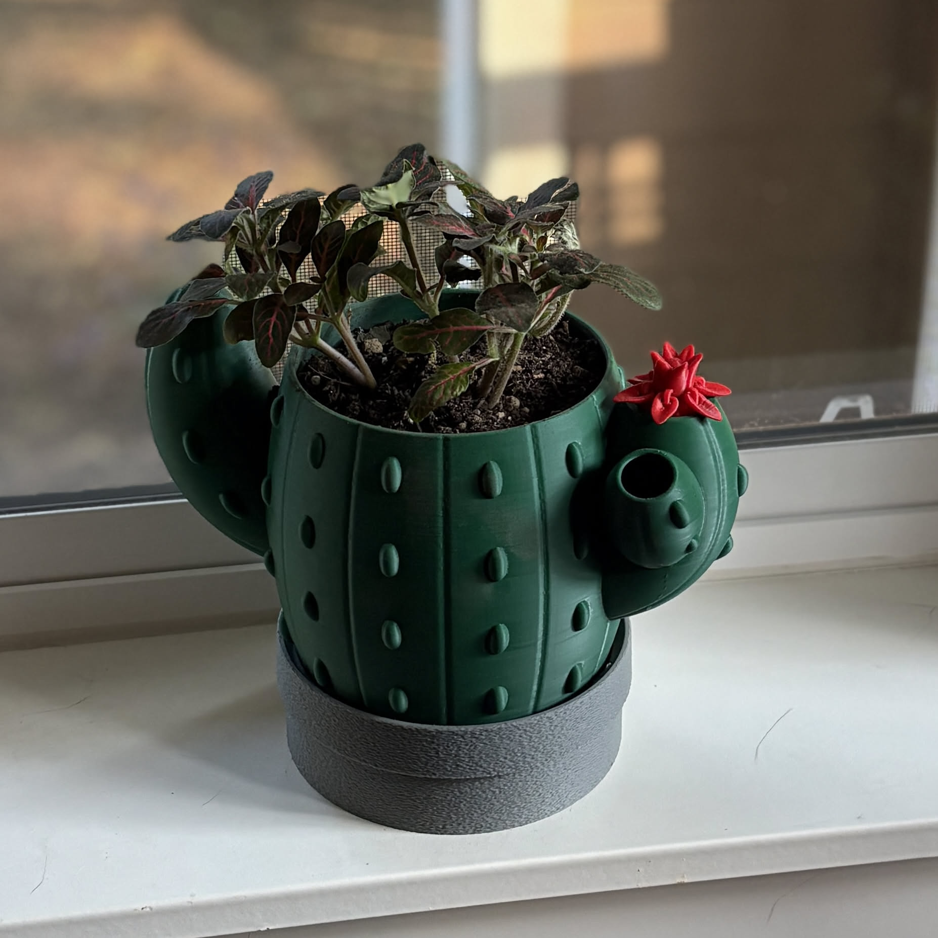 Cactus Signal Planter | Self-Watering Indoor Planter for Succulents & Cacti