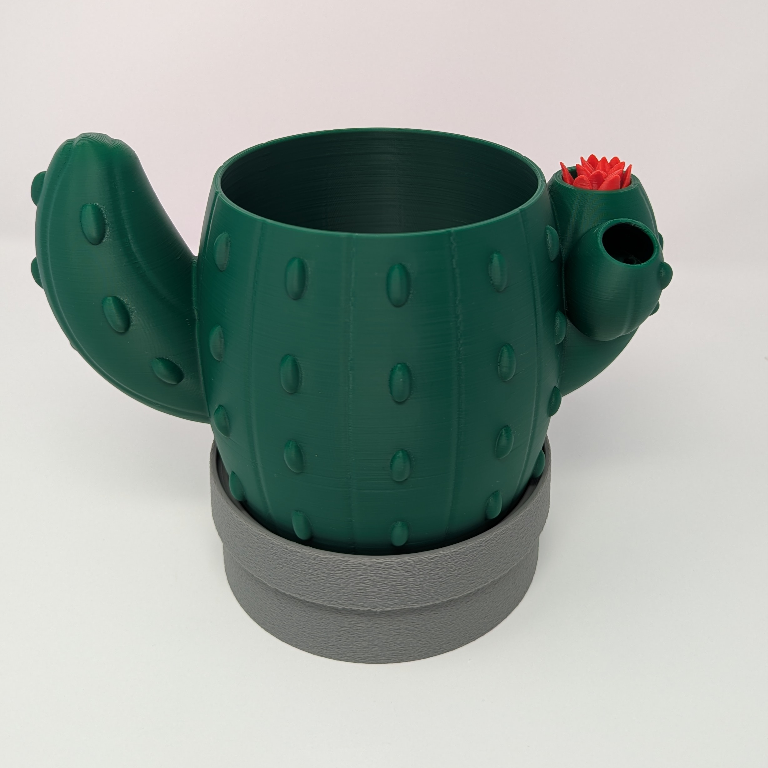 Cactus Signal Planter | Self-Watering Indoor Planter for Succulents & Cacti - Image 3