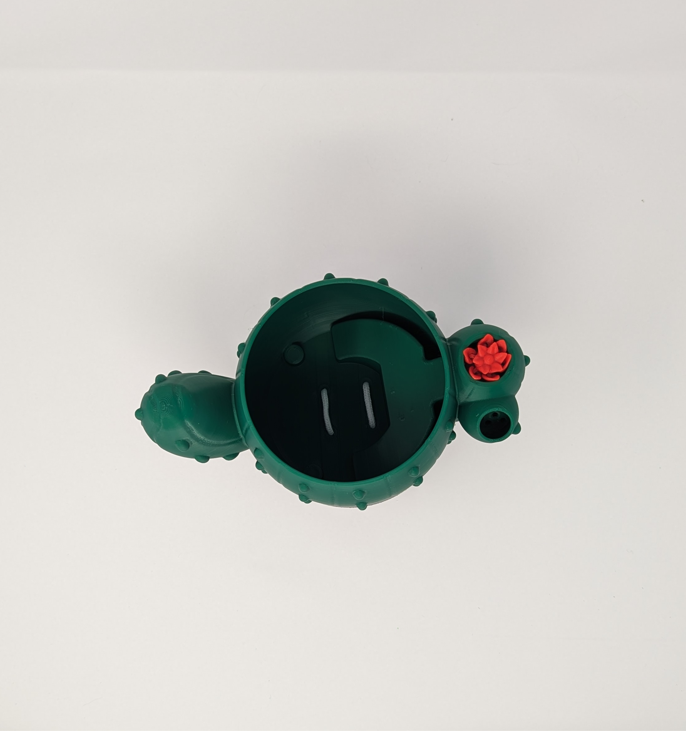 Cactus Signal Planter | Self-Watering Indoor Planter for Succulents & Cacti - Image 4