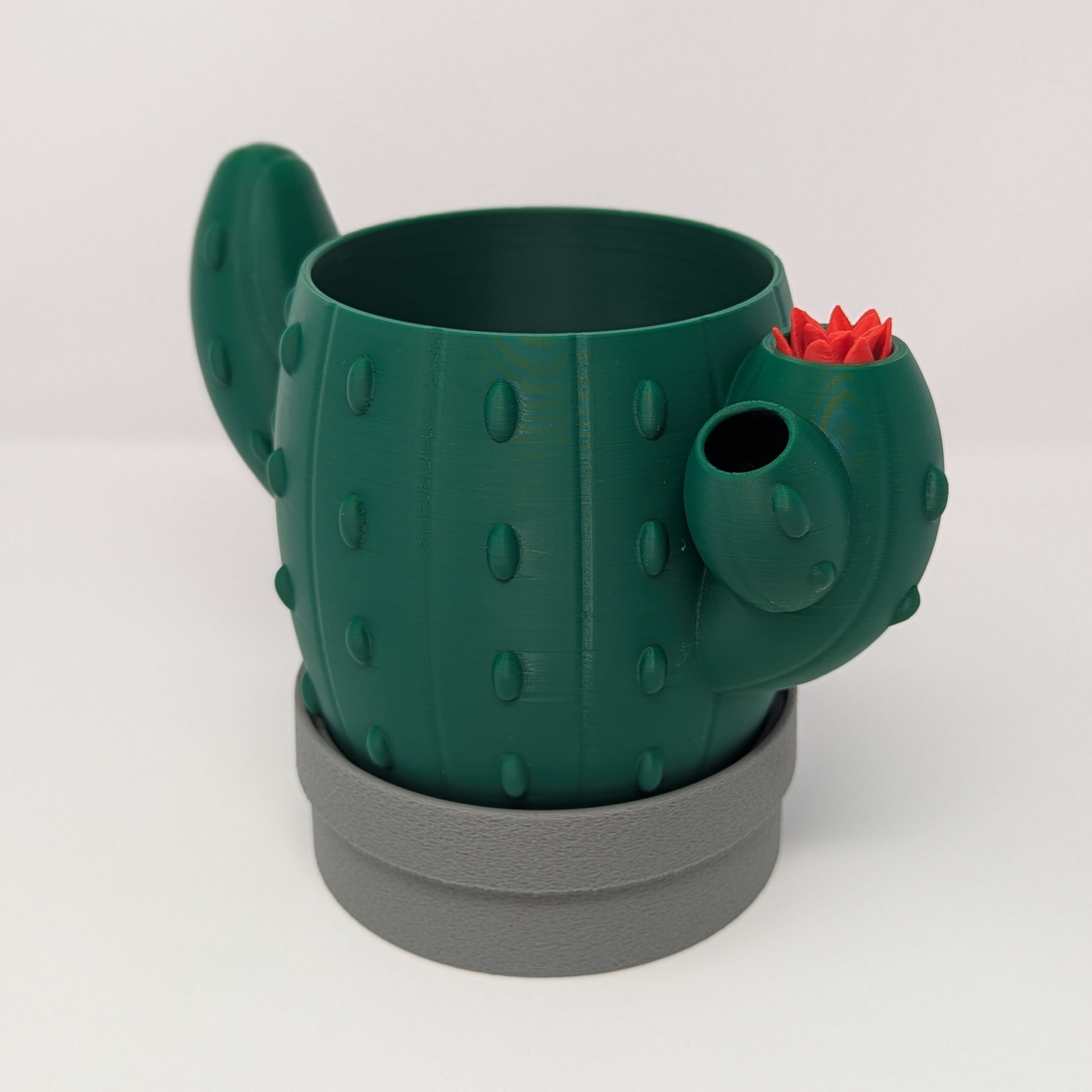 Cactus Signal Planter | Self-Watering Indoor Planter for Succulents & Cacti - Image 2